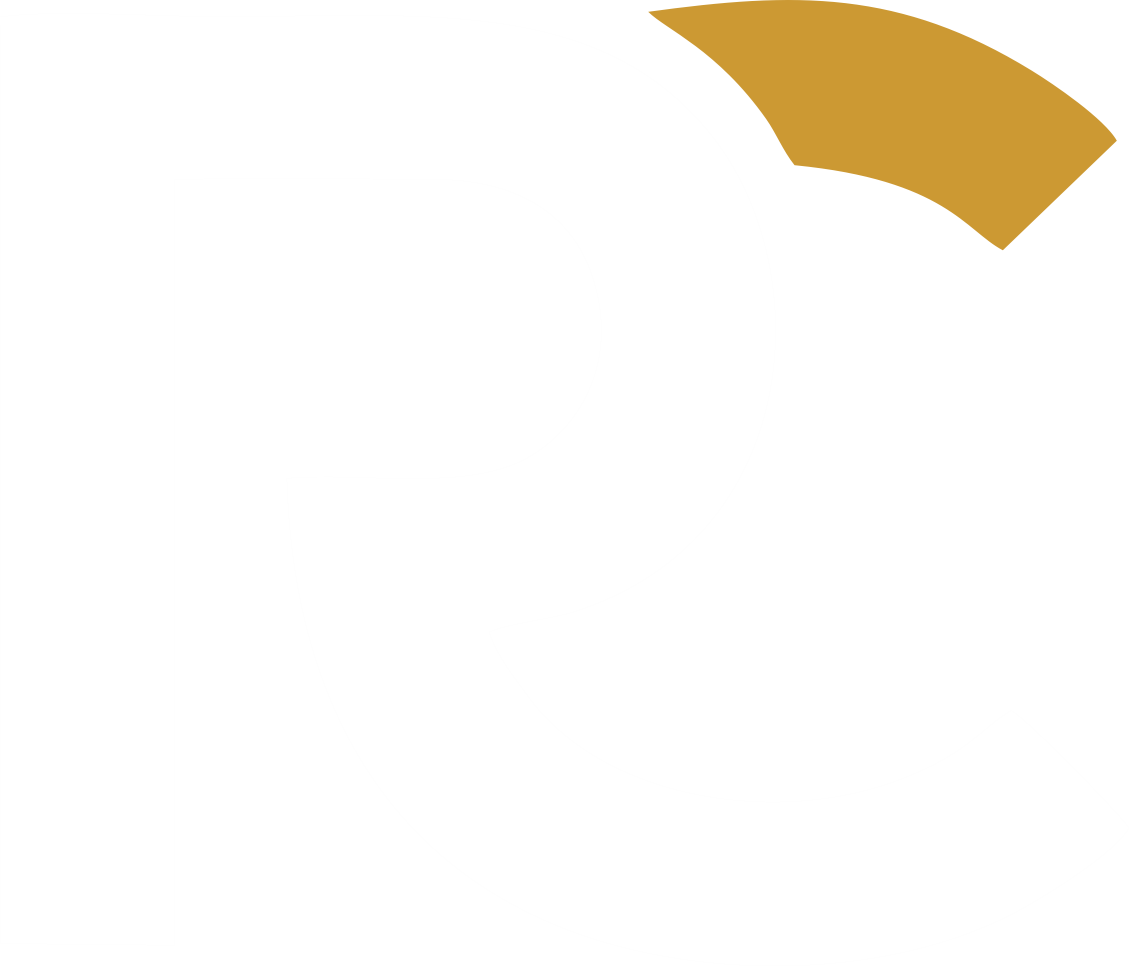 Rogério Chelucci Professor e Palestrante